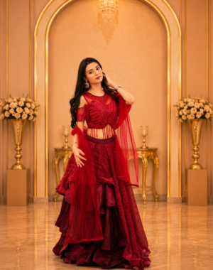 Ruby Radiance Sequin Designer Lehenga Set